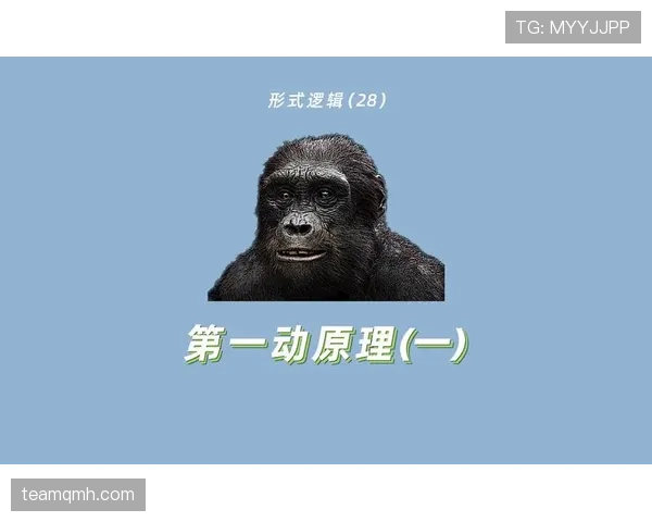 拉人犯规的判罚标准与裁判判定逻辑详解 拉人犯规的判罚标准与裁判判定逻辑详解
